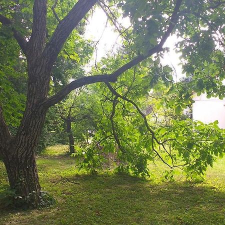 Szepvoelgyi Apartmanhaz Siofok Dış mekan fotoğraf